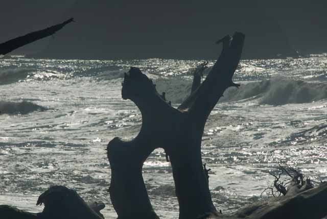Rialto Beach